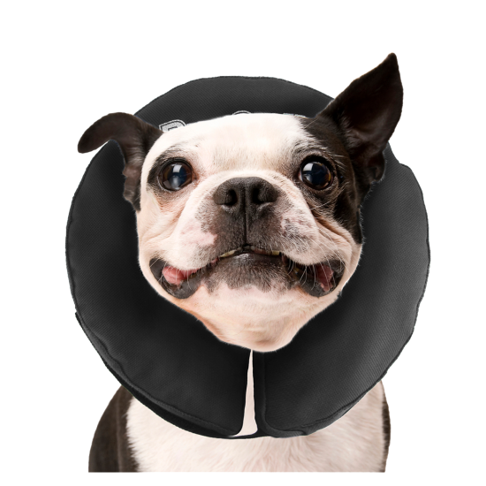 Zenpet ProCollar Opblaasbare kraag, XS