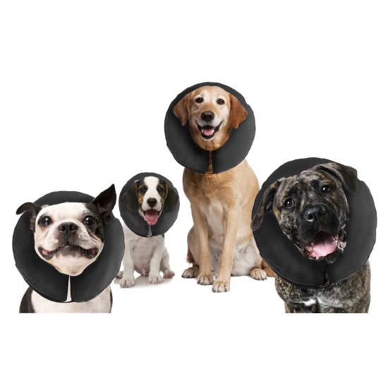 Zenpet ProCollar Opblaasbare kraag, XS