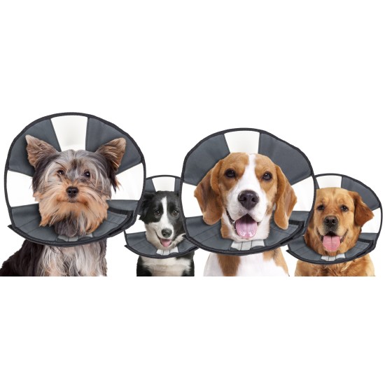 Zenpet ProCone, S