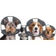 Zenpet ProCone, S