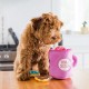 Zippy Paws Burrow Café et Donutz
