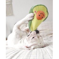 Zippy Paws NomNomz Avocado