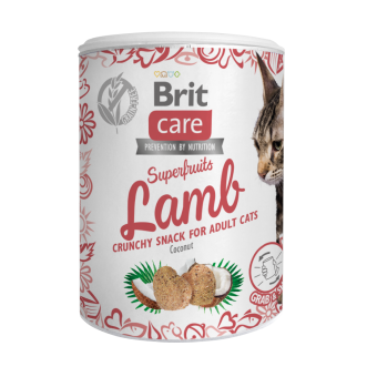Brit Care Cat Snack Superfruits Lam