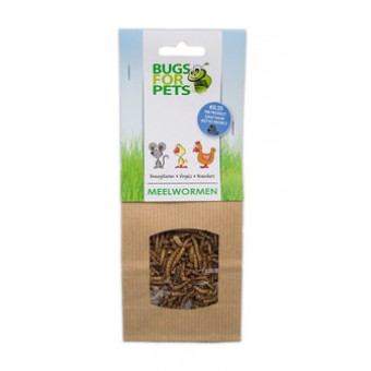 Bugs for Pets Meelwormen