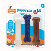 Nylabone Puppy Starter kit regular