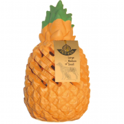 Pet-Fun Pineapple