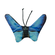 Wild Life Cat Blauwe Vlinder