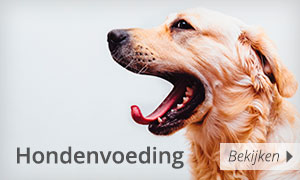 Hondenvoeding